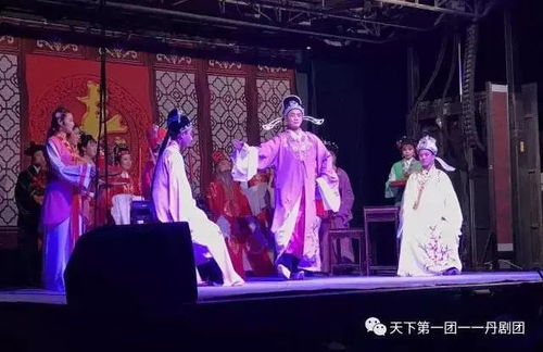 张艳丽艺术生涯全解析：从江南水乡到国际舞台的细腻与深刻