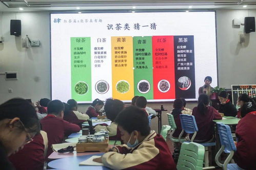 五一小学全解析：入学政策、师资力量与特色课程，助您轻松择校