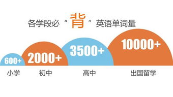 雅思词汇量提升秘籍：快速突破8000词，轻松拿高分