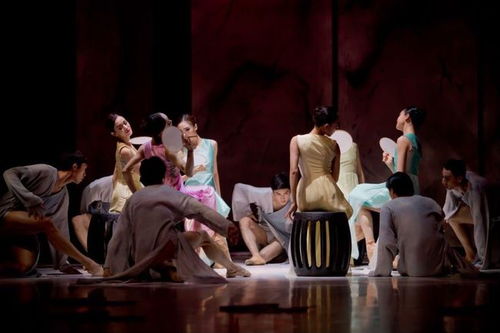 杨丹妮演艺生涯揭秘：从江南水乡到实力演员的成长之路