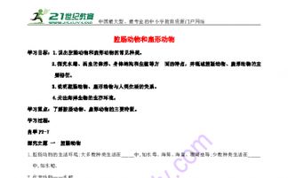 文汇中学入学指南：2024年招生流程、考试内容与录取标准全解析