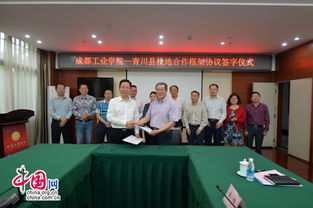 李金泽：从技术精英到行业领袖的成长之路与成就分享