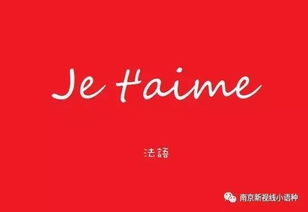 西班牙语我爱你：轻松掌握Te amo和Te quiero的浪漫表达，告别发音困惑