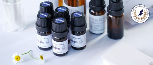 芳疗师入门指南：轻松掌握精油配方与职业发展，开启自然疗愈之旅