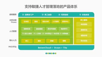 人力六大模块详解：构建高效企业人才管理基石，解决HR管理难题