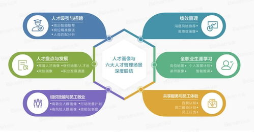 人力六大模块详解：构建高效企业人才管理基石，解决HR管理难题