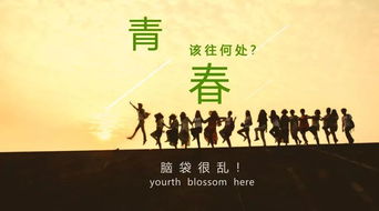 古筝培训班：在快节奏生活中寻找宁静与快乐的学习指南