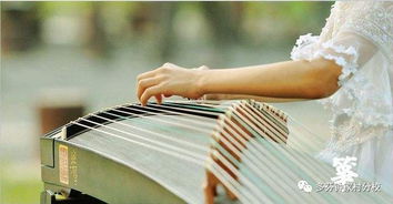 古筝培训班：在快节奏生活中寻找宁静与快乐的学习指南