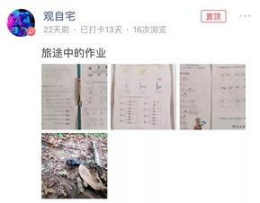 古筝培训班：在快节奏生活中寻找宁静与快乐的学习指南