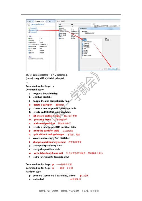 音基学习全攻略：从零基础到精通，轻松掌握音乐基础知识