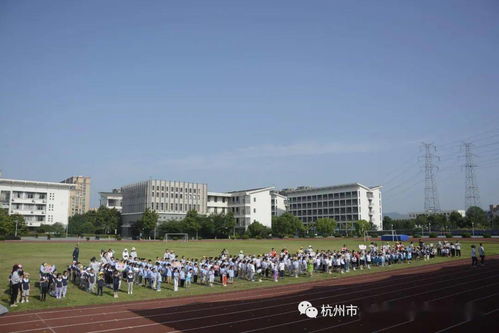 奋斗小学入学全攻略：轻松解决家长择校难题，让孩子快乐成长