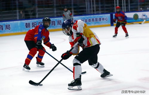 冰球规则全解析：快速掌握比赛精髓，轻松享受冰上激情