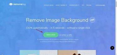 PS怎么换背景？5步从入门到精通，轻松搞定抠图难题