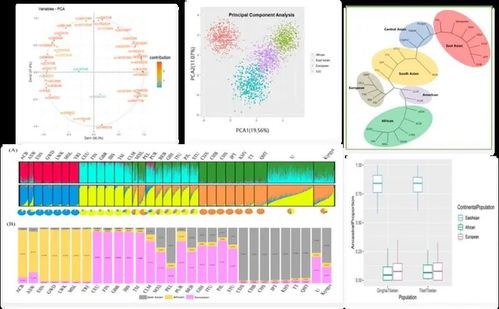 李永利：从司法实务到政策制定的法律人生，揭秘法律职业成长捷径与快乐
