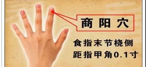 杨奕足底反射疗法：手到病自除，轻松掌握家庭养生秘诀