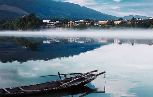 王美玲：从江南水乡到国际画坛，她的艺术成长之路如何解决创作迷茫与身份认同