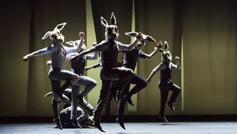 上海舞蹈学校：成就舞者梦想的艺术殿堂，开启便捷快乐的艺术之旅