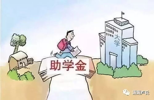 动漫学校全攻略：从入学到就业的完整指南，助你轻松实现动漫梦想