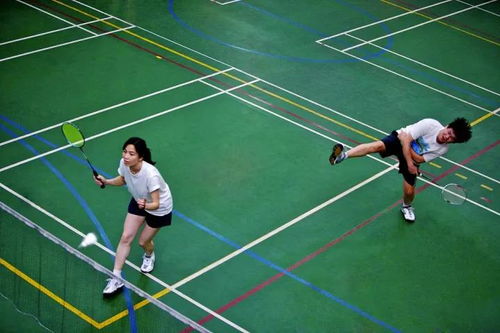 羽毛球培训全攻略：从入门到进阶，轻松掌握专业技巧，避免运动损伤
