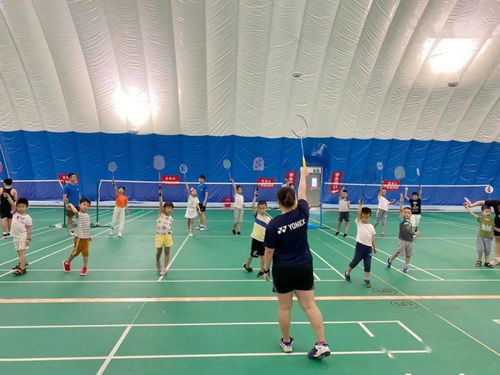 羽毛球培训全攻略：从入门到进阶，轻松掌握专业技巧，避免运动损伤