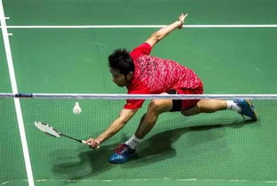 羽毛球培训全攻略：从入门到进阶，轻松掌握专业技巧，避免运动损伤