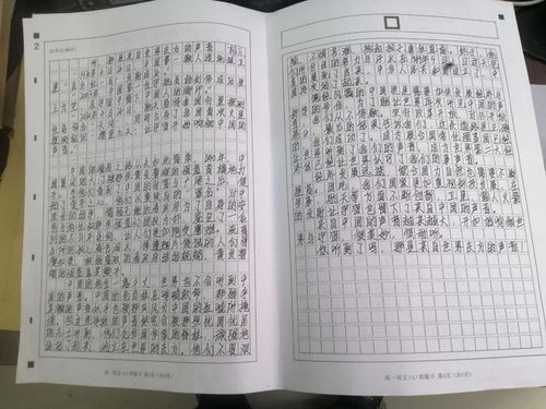 母爱作文500字写作技巧：轻松写出感人肺腑的亲情佳作