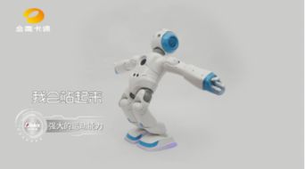 能力风暴教育机器人：让孩子在快乐编程中轻松掌握未来技能