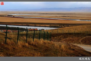 唐克旅游攻略：轻松玩转九曲第一湾，体验高原秘境之美