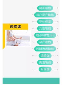 瑜伽学院课程体系全解析：从零基础到专业导师的完整成长路径