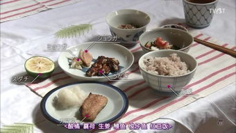 轻松学会砂锅饭：从起源到营养的完整指南，让你在家也能做出香喷喷的砂锅饭