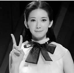 张文婷：从传统水墨到数字艺术的创新之路，探索艺术与生活的完美融合