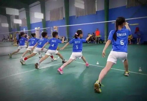 羽毛球教程：从基础到进阶，轻松掌握握拍、步法与战术技巧