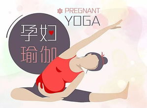 哈达瑜伽：轻松平衡身心，缓解压力与焦虑的完整指南