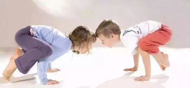 哈达瑜伽：轻松平衡身心，缓解压力与焦虑的完整指南