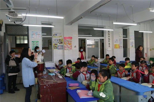 一师附小招生政策与教学质量全解析：让孩子在温馨校园中快乐成长