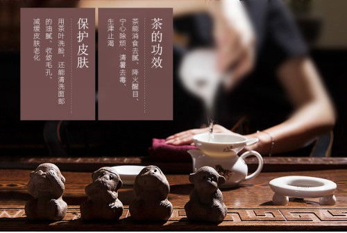 茶艺培训：轻松掌握泡茶技巧，开启优雅慢生活之旅