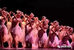 刘丹丹：从北方小城到国际舞台的舞蹈人生，用肢体讲述动人故事