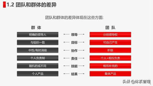 新员工培训计划：提升效率、降低流失、打造高效团队