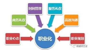 员工培训方案：解决团队效率低下与错误频发的系统化指南