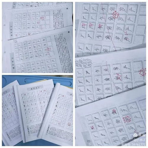 硬笔书法教案：轻松掌握书写技巧，告别写字烦恼