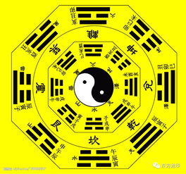 董易林风水易经解读：现代家居与商业空间布局实用指南，轻松打造和谐能量场