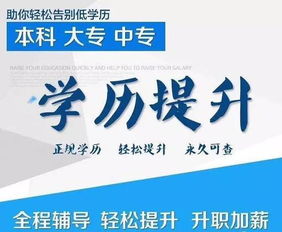 博大教育：学历提升与职业培训的便捷之路，成就你的快乐人生