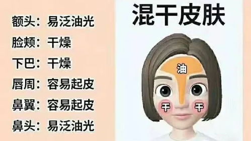 美容护肤知识：轻松识别肤质+科学护肤成分+基础流程黄金法则，告别盲目跟风烦恼