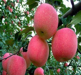 卤肉卷制作全攻略：从经典到创新，轻松在家复刻街头美味