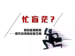 管理提升：让工作更轻松高效的实用指南，告别混乱与压力