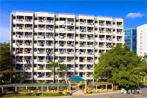 广东省对外贸易职业技术学校：成就商贸精英的摇篮，开启无忧职业未来