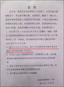 南湖小学招生政策与教学质量全解析：轻松掌握入学条件与校园优势