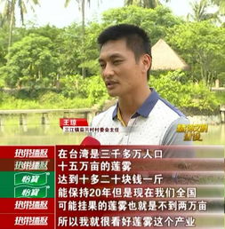 李培英：北方乡土文学的心灵守望者，带你探寻故乡与生存的温暖记忆