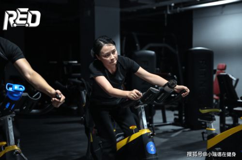 健身培训：从零到专业教练的完整指南，轻松掌握科学健身与职业发展