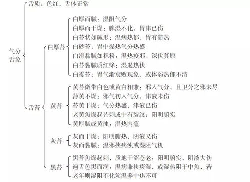 刘景源温病学术思想与临床经验全解析：精准辨证轻松治未病